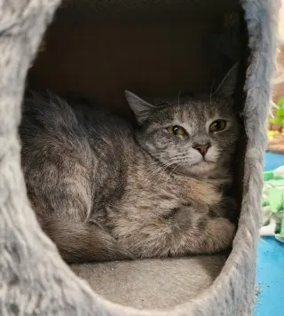 Minnie