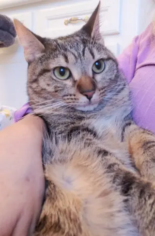 Cleocatra (bonded with Bubbles)