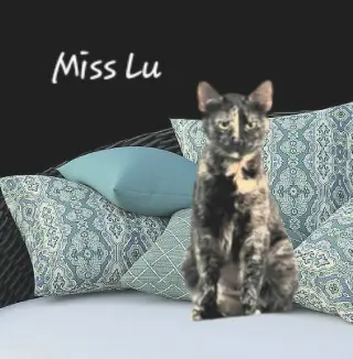 Lu #whiskered-shadow