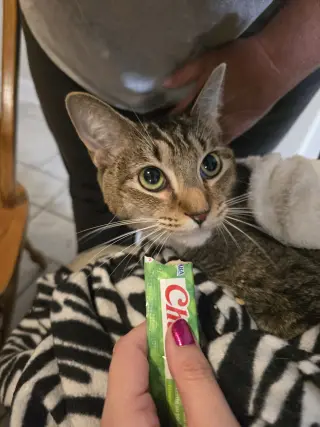 Candy
