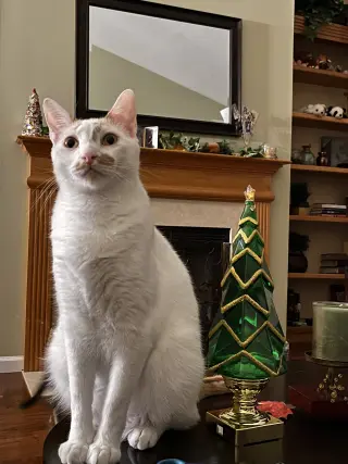 Ken