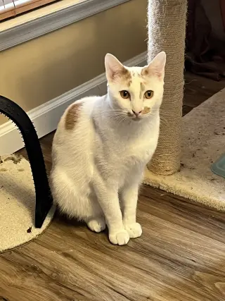 Ken