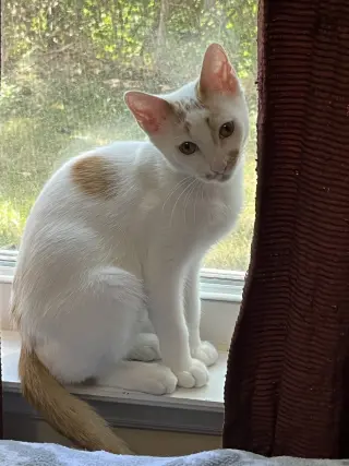 Ken