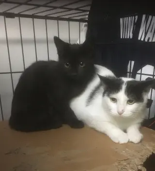 Alexis bonded with Jackie