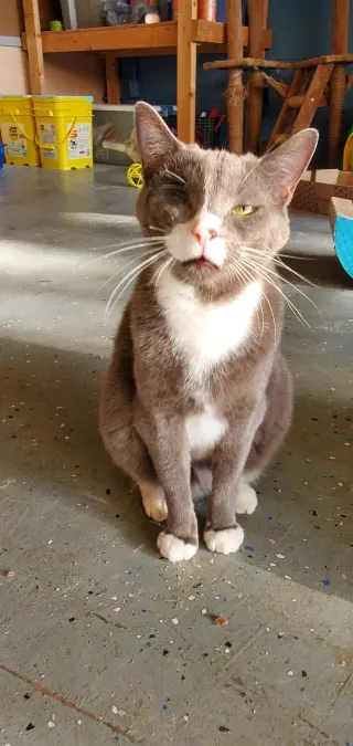 Bella