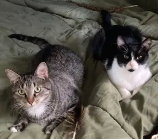 Ezekiel (Zeeke) and Tigger