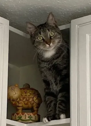 Ezekiel (Zeeke) and Tigger