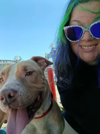 Duncan Doggie