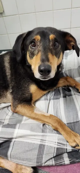 Smith (Smitty) Special Needs