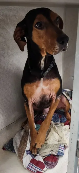 Jethro