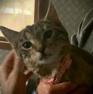 Zera