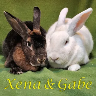 Xena (bonded to Gabe)