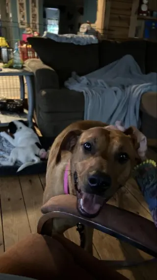 Penny