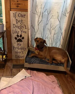 Penny