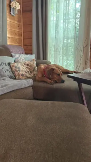 Penny