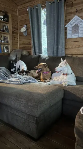 Penny