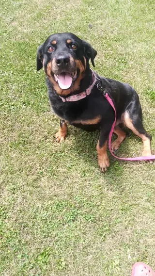Mabel
