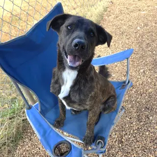 Astro
