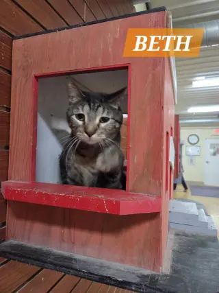 Beth