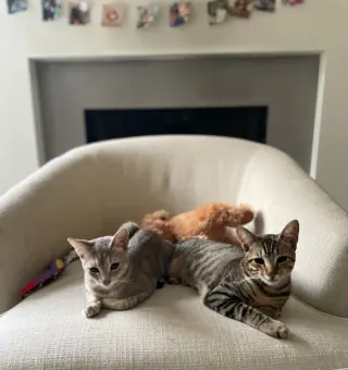 Rebel (and Tiny)