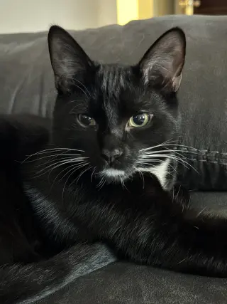 Bo (fka Chin)