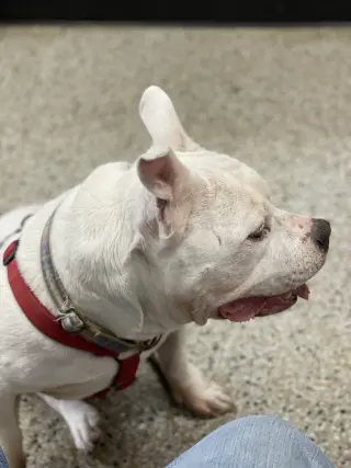 Gunther
