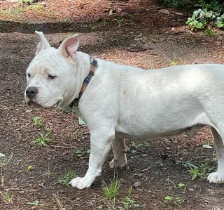 Gunther