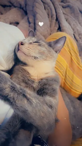 Skye