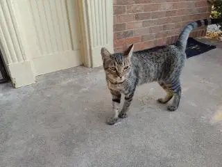 K.K