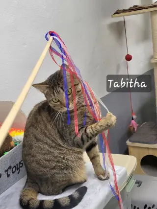 Tabitha