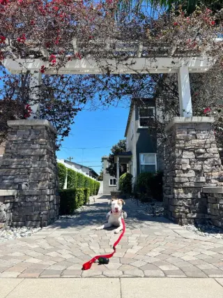 Morgan