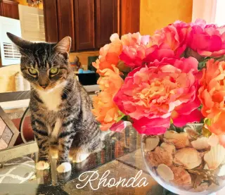 Rhonda