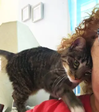 Rhonda