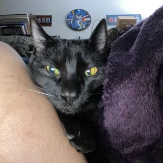 Rocket