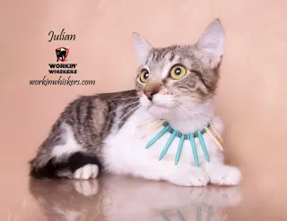 JULIAN