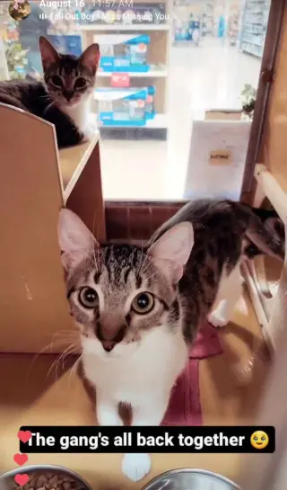 JULIAN