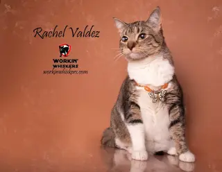 RACHEL VALDEZ