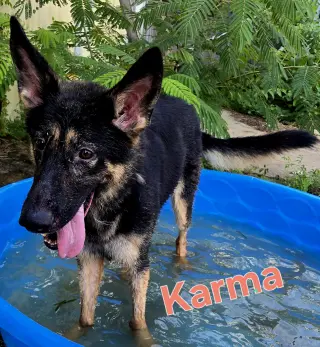 Karma