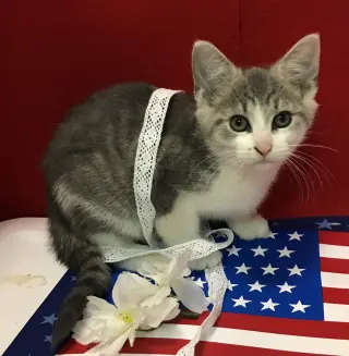 Luke (bonded to Bo)