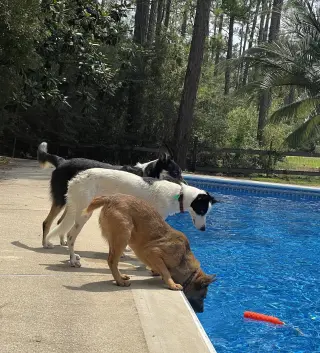 Stubby