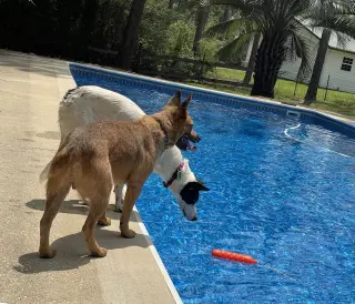 Stubby