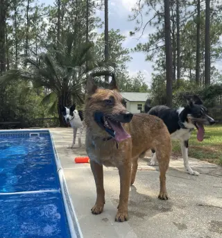 Stubby