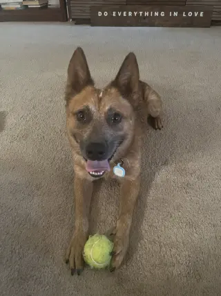 Stubby