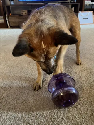 Stubby