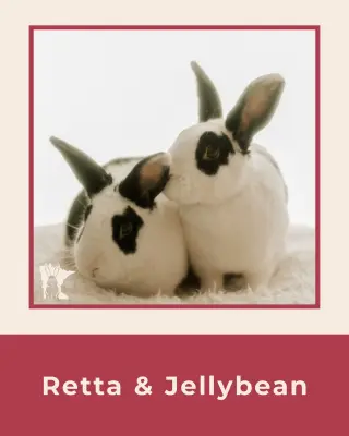 Retta
