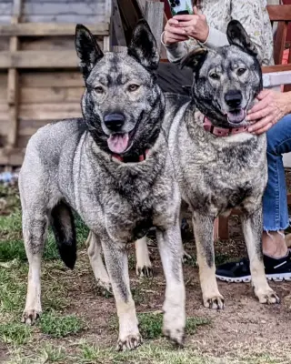 Freida and Dallen