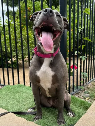 Jada