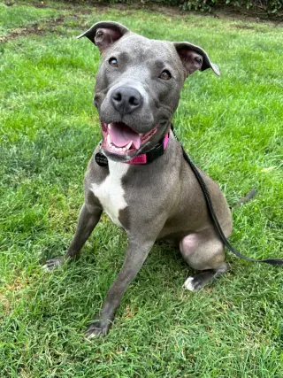 Jada
