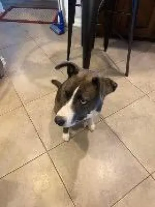 Barklee