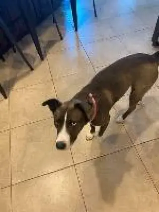 Barklee